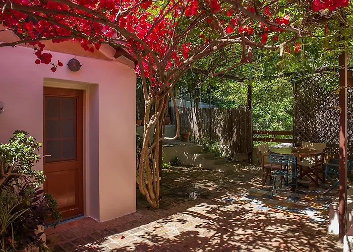 Town Traditional House / Cozy Yard *