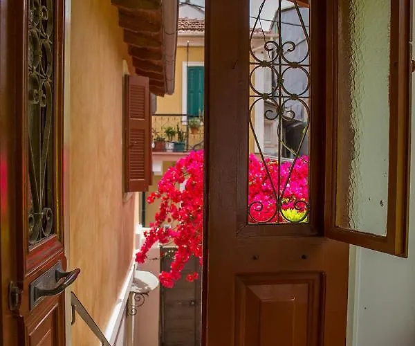 Town Traditional House / Cozy Yard