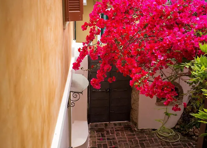 Town Traditional House / Cozy Yard Appartement