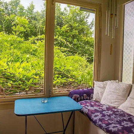 Town Traditional House / Cozy Yard شقة Lefkáda