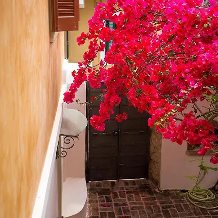 Town Traditional House / Cozy Yard شقة